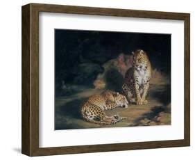 A Pair of Leopards, 1845-William Huggins-Framed Giclee Print