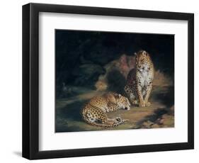 A Pair of Leopards, 1845-William Huggins-Framed Giclee Print