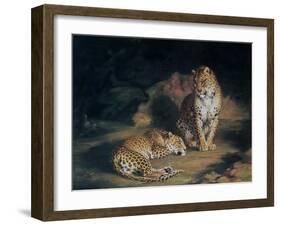 A Pair of Leopards, 1845-William Huggins-Framed Giclee Print