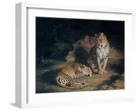 A Pair of Leopards, 1845-William Huggins-Framed Giclee Print