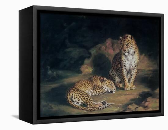 A Pair of Leopards, 1845-William Huggins-Framed Stretched Canvas