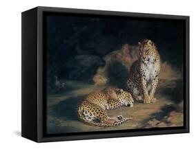 A Pair of Leopards, 1845-William Huggins-Framed Stretched Canvas