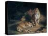 A Pair of Leopards, 1845-William Huggins-Stretched Canvas