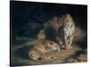 A Pair of Leopards, 1845-William Huggins-Stretched Canvas