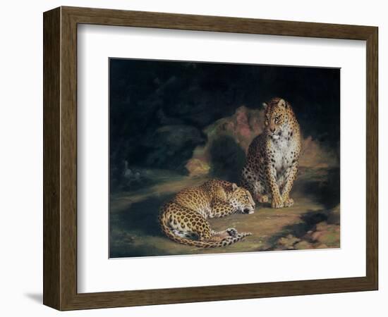 A Pair of Leopards, 1845-William Huggins-Framed Premium Giclee Print