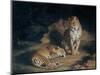 A Pair of Leopards, 1845-William Huggins-Mounted Premium Giclee Print