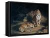 A Pair of Leopards, 1845-William Huggins-Framed Stretched Canvas