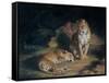 A Pair of Leopards, 1845-William Huggins-Framed Stretched Canvas