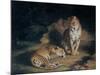 A Pair of Leopards, 1845-William Huggins-Mounted Giclee Print