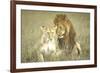 A Pair of Lions in the Wild in Africa-John Dominis-Framed Photographic Print