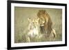 A Pair of Lions in the Wild in Africa-John Dominis-Framed Photographic Print