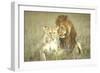 A Pair of Lions in the Wild in Africa-John Dominis-Framed Photographic Print