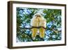 A pair of Little Corellas parrots, Australia-Mark A Johnson-Framed Photographic Print