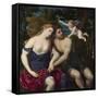 A Pair of Lovers, 1556-1559-Paris Bordone-Framed Stretched Canvas