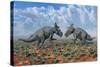 A Pair of Male Pachyrhinosaurus Sizing Each Other Up-Stocktrek Images-Stretched Canvas