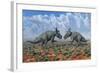 A Pair of Male Pachyrhinosaurus Sizing Each Other Up-Stocktrek Images-Framed Art Print