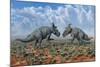 A Pair of Male Pachyrhinosaurus Sizing Each Other Up-Stocktrek Images-Mounted Art Print