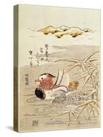 A Pair of Mandarin Ducks-Isoda Koryusai-Stretched Canvas