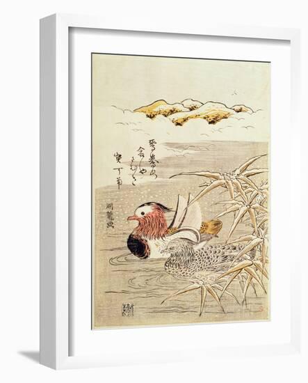 A Pair of Mandarin Ducks-Isoda Koryusai-Framed Giclee Print