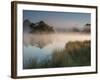 A Pair of Mute Swans, Cygnus Olor, Swim over a Misty Pen Pond at Sunrise in Richmond Park-Alex Saberi-Framed Photographic Print