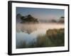 A Pair of Mute Swans, Cygnus Olor, Swim over a Misty Pen Pond at Sunrise in Richmond Park-Alex Saberi-Framed Photographic Print