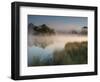 A Pair of Mute Swans, Cygnus Olor, Swim over a Misty Pen Pond at Sunrise in Richmond Park-Alex Saberi-Framed Photographic Print