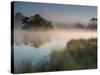 A Pair of Mute Swans, Cygnus Olor, Swim over a Misty Pen Pond at Sunrise in Richmond Park-Alex Saberi-Stretched Canvas