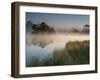 A Pair of Mute Swans, Cygnus Olor, Swim over a Misty Pen Pond at Sunrise in Richmond Park-Alex Saberi-Framed Photographic Print