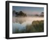 A Pair of Mute Swans, Cygnus Olor, Swim over a Misty Pen Pond at Sunrise in Richmond Park-Alex Saberi-Framed Photographic Print