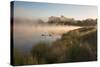 A Pair of Mute Swans, Cygnus Olor, Swim over a Misty Pen Pond at Sunrise in Richmond Park-Alex Saberi-Stretched Canvas