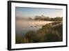 A Pair of Mute Swans, Cygnus Olor, Swim over a Misty Pen Pond at Sunrise in Richmond Park-Alex Saberi-Framed Photographic Print