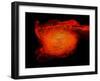 A Pair of Neutron Stars Colliding, Merging, and Forming a Black Hole-null-Framed Art Print