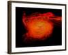 A Pair of Neutron Stars Colliding, Merging, and Forming a Black Hole-null-Framed Art Print