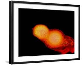 A Pair of Neutron Stars Colliding, Merging, and Forming a Black Hole-null-Framed Art Print