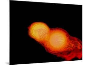 A Pair of Neutron Stars Colliding, Merging, and Forming a Black Hole-null-Mounted Art Print