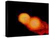 A Pair of Neutron Stars Colliding, Merging, and Forming a Black Hole-null-Stretched Canvas