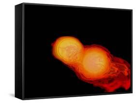 A Pair of Neutron Stars Colliding, Merging, and Forming a Black Hole-null-Framed Stretched Canvas