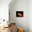 A Pair of Neutron Stars Colliding, Merging, and Forming a Black Hole-null-Mounted Art Print displayed on a wall