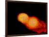 A Pair of Neutron Stars Colliding, Merging, and Forming a Black Hole-null-Framed Art Print