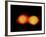 A Pair of Neutron Stars Colliding, Merging, and Forming a Black Hole-null-Framed Art Print