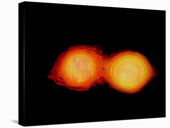 A Pair of Neutron Stars Colliding, Merging, and Forming a Black Hole-null-Stretched Canvas