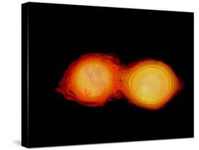 A Pair of Neutron Stars Colliding, Merging, and Forming a Black Hole-null-Stretched Canvas