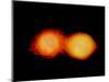 A Pair of Neutron Stars Colliding, Merging, and Forming a Black Hole-null-Mounted Art Print