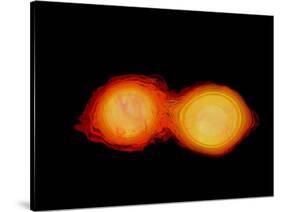 A Pair of Neutron Stars Colliding, Merging, and Forming a Black Hole-null-Stretched Canvas