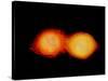 A Pair of Neutron Stars Colliding, Merging, and Forming a Black Hole-null-Stretched Canvas