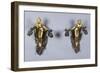 A Pair of Parcel Gilt Bronze Wall Sconces, Circa 1900-Franz Arthur Bischoff-Framed Giclee Print