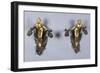 A Pair of Parcel Gilt Bronze Wall Sconces, Circa 1900-Franz Arthur Bischoff-Framed Giclee Print