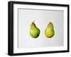 A Pair of Pears, 1997-Alison Cooper-Framed Giclee Print