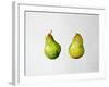 A Pair of Pears, 1997-Alison Cooper-Framed Giclee Print