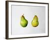 A Pair of Pears, 1997-Alison Cooper-Framed Giclee Print